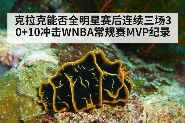 克拉克能否全明星赛后连续三场30+10冲击WNBA常规赛MVP纪录