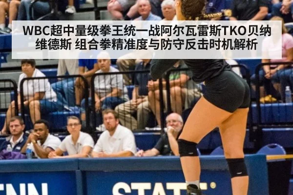 WBC超中量级拳王统一战阿尔瓦雷斯TKO贝纳维德斯 组合拳精准度与防守反击时机解析